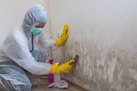 Best Biohazard Mold Removal  in Huron, OH